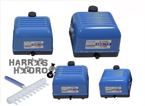 Hailea air pump - air, v