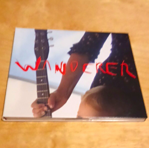 Cat power wanderer - cat,