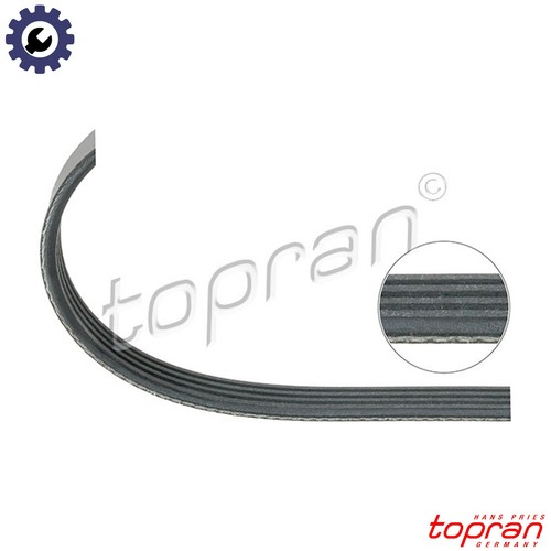 Vribbed belt 500 - belt, 683
