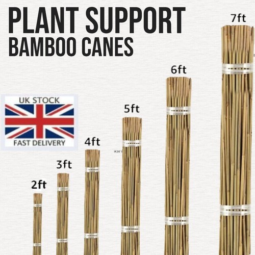 7 ft bamboo garden - 2, 5