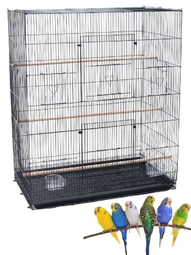 Large breeding flight bird - flight,