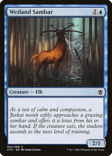 Mtg wetland sambar - [mtg],