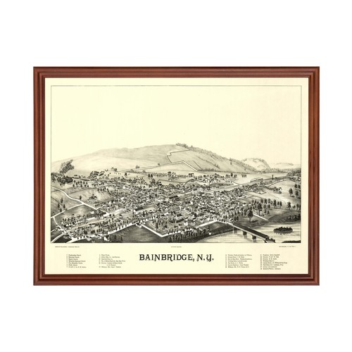Old map bainbridge ny 1889 - old,