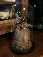 Stag Beetle Mid Flight In