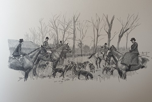 Belvoir hunt stewart - hunt, f