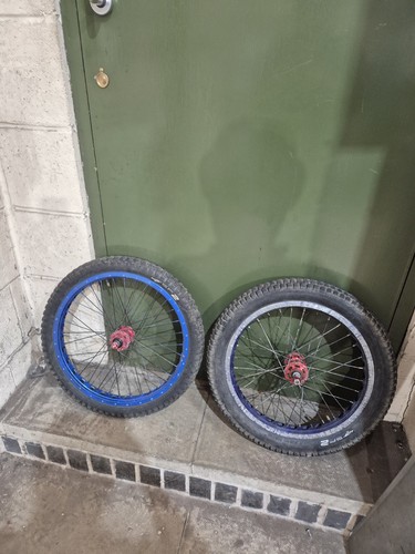 Echo trials wheelset - echo,