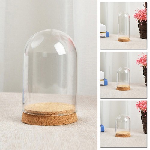 Glass display bell jar - glass,