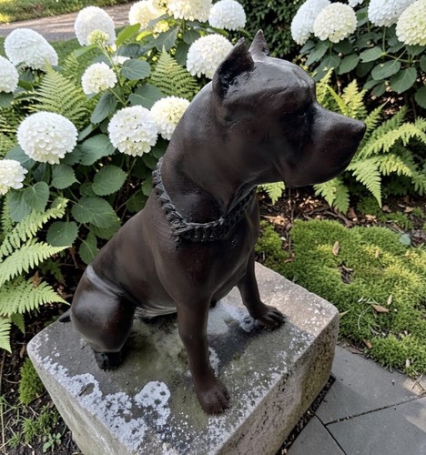 Pittbull statue - pittbull,