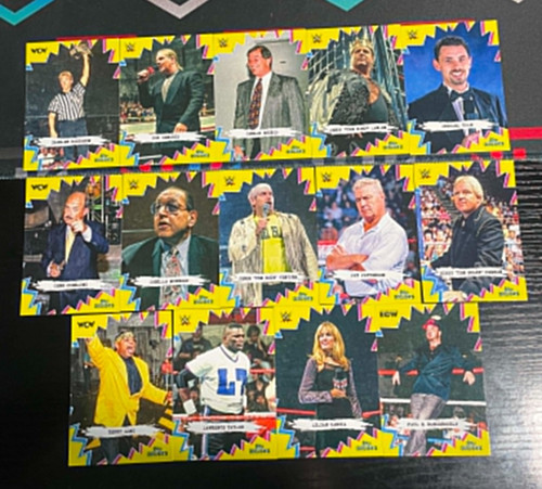 Choose your card topps wwe - card,