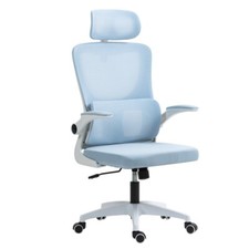 Mesh Back Ergonomic Office