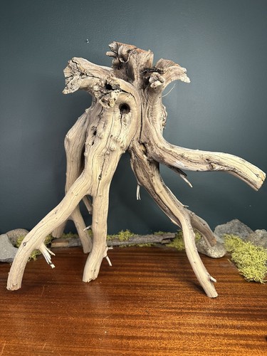 Manzanita driftwood - 23”,