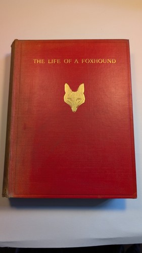 The life foxhound - life, of