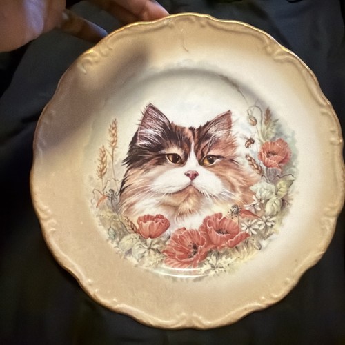 Royal vale bone china cat - vale,