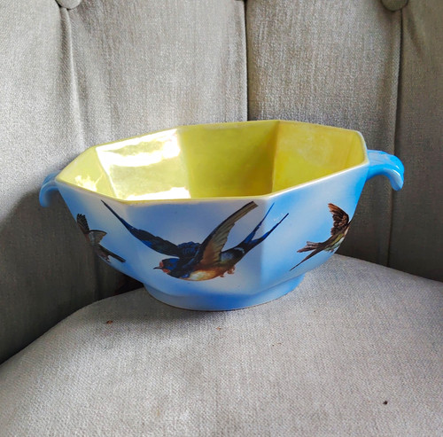 Kent fenton blue yellow bird - fenton,