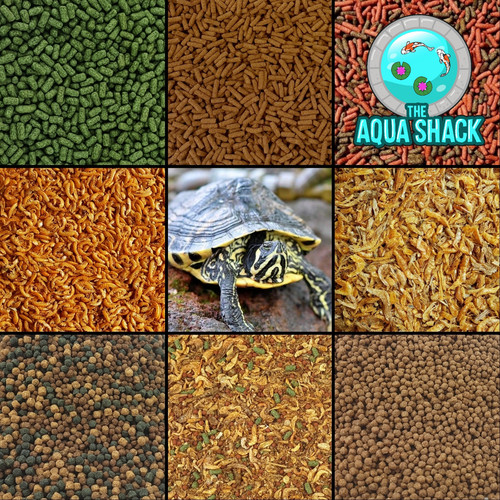 Turtle terrapin food - terrapin,
