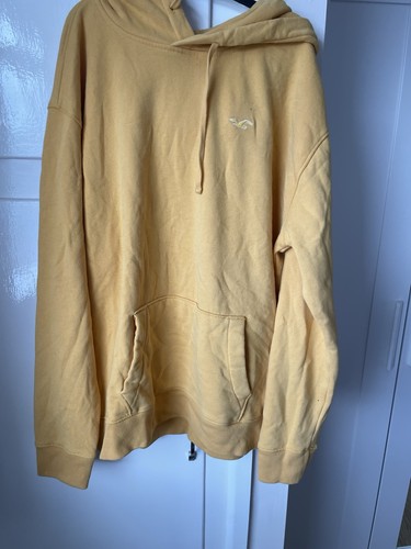 Hollister hoodie vgc size - hollister,