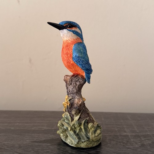 Riverside jewell kingfisher - riverside,