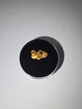 Australia gold nugget 1.75