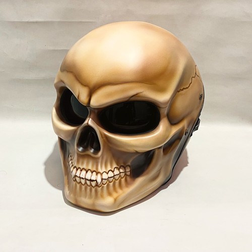 Top skull motorcycle helmet - skull,