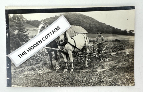 Vtg rppc horse drawn - rppc,