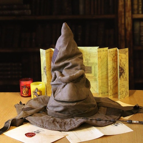 Wizard sorting hat witch - wizard,
