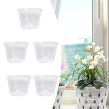 Plastic Clear Orchid Pots Orchid Pots 5 Inches Clear Plastic With Holes
