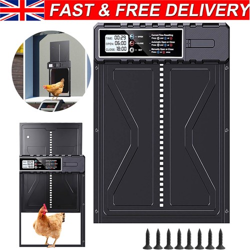 Automatic chicken coop door - chicken,
