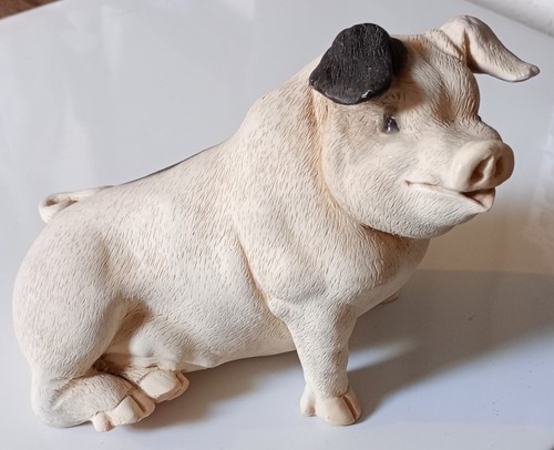 Toni pot bellied pig - -,