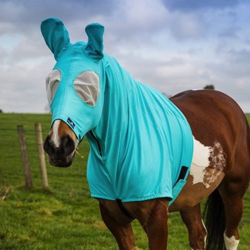 Snuggy hoods sweet itch - snuggy,