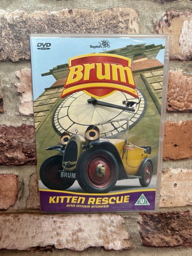 Brum kitten rescue and other - kitten,