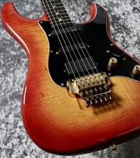 Valley Arts Custom PRO USA 1