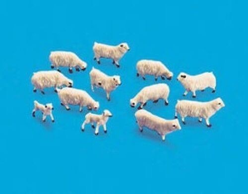 Sheep ewes lambs oo - &,