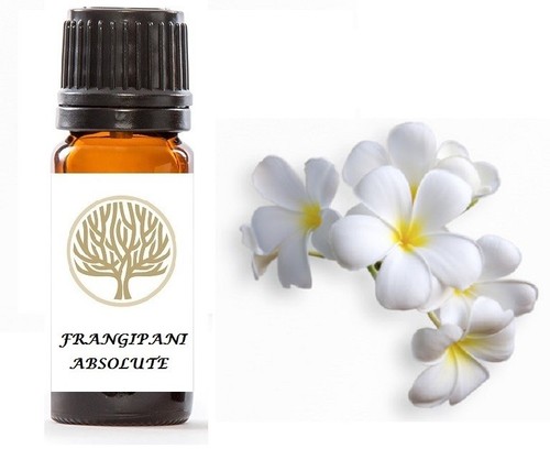 100 pure frangipani - frangipani, absolute