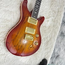 PRS SE Custom 24 Electric