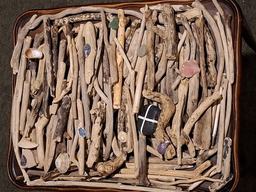 100 driftwood mixed sized - 100,