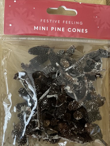 Mini dried pine - cones,