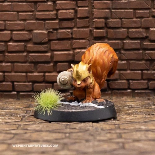 Akorne the squirrel - akorne,