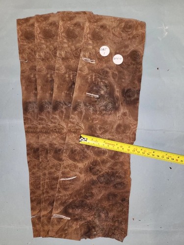 American walnut burr veneer - american,