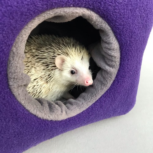 Cosy fleece bed - for, african
