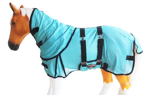 Challenger miniature weanling - challenger,