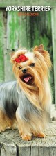 Yorkshire Terrier 2026 Slim Calendar