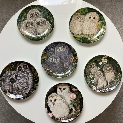 Wedgwood the baby owls - baby, by