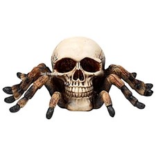 Skull With Spider Legs Gothic Ornament Tarantula Pagan Wiccan Horror Halloween