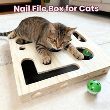 Cat Scratch Puzzle Enrichment