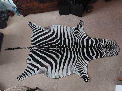 Real zebra skin - zebra,