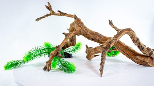 Manzanita aquarium driftwood - aquarium,