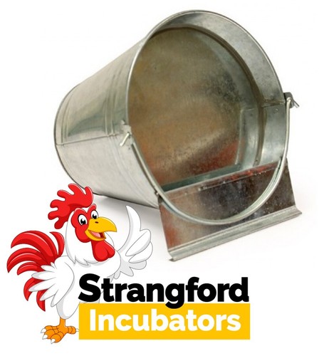 6ltr galvanised metal bucket - galvanised,