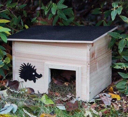 Hedgehog house hibernation - hedgehog, &