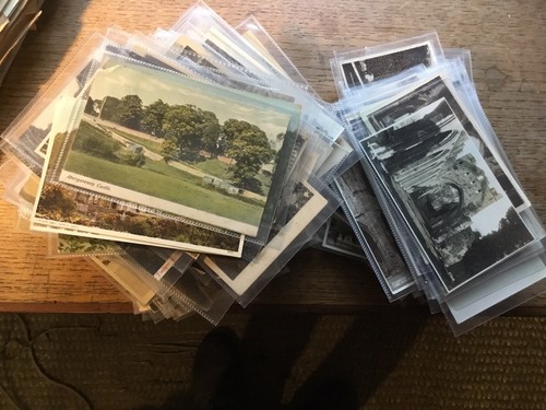 Dealers lot 250 - dealers,