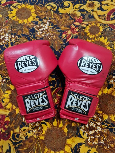 Cleto reyes boxing - reyes, gloves